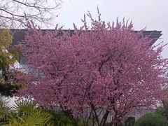 -云里小坐·海泉湾·团建·宴席·下午茶(金堂海泉湾店)