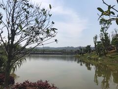 -枫香湖儿童公园