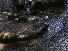 -成都市活水公园