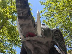 -西霞口神雕山野生动物世界