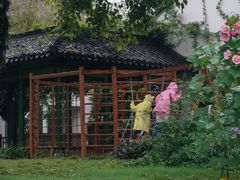 -西溪国家湿地公园