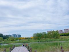 -马家湾湿地公园