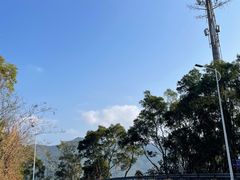 -梧桐山风景名胜区