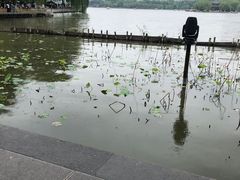-济南大明湖景区