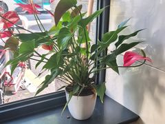 -章氏(广粤路店)