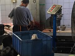 -温江公平红烧兔(总店)
