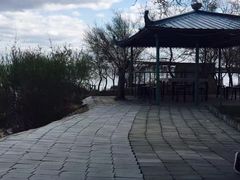 -呼兰河口湿地公园