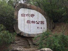 -白水寺森林公园