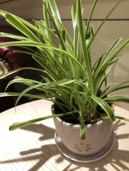 -北京俪婴妇产医院(朝阳大悦城店)