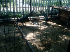 -意大利农场度假村