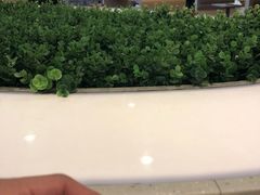 -麦当劳(温州人民路店)