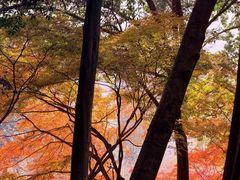 -康熙养生SPA·轻奢足道(江宁万达店)