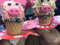 -野人先生现做冰淇淋(北京顺义祥云小镇店)