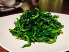 清炒豌豆尖-东莱海上(长宁来福士店)