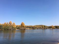 -塞罕坝国家级自然保护区