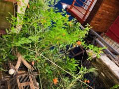 -萨芭蒂高空花园餐酒吧