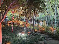 -杭州黄龙洞