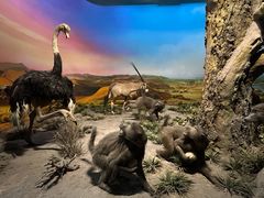 -国家自然博物馆