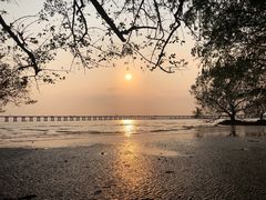 -宝安西湾红树林湿地公园