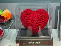 -ROSEONLY诺誓(广州K11店)