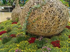-石家庄市植物园