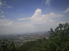 -杭州半山国家森林公园