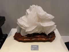-安徽省地质博物馆