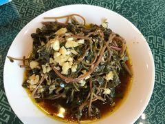 凉拌马齿苋-代木儿回锅肉