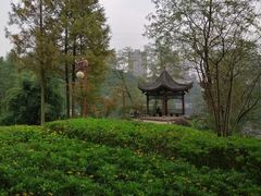 -重庆彩云湖湿地公园