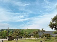 -奈良公园