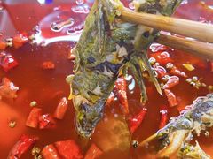 -王朝花椒鱼(杉板桥南一路店)