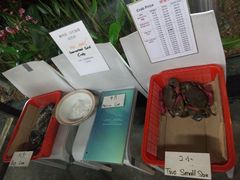 -龙海鲜螃蟹王(宏茂桥店)