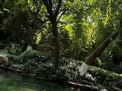 -趵突泉景区