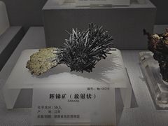 -湖南省地质博物馆