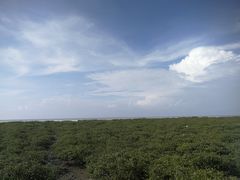 -北海金海湾红树林生态旅游区