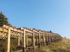 -白草畔自然风景区