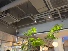 -农畉LONFOOD(万象天地店)