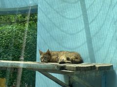 -青藏高原野生动物园