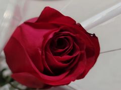 -海底捞火锅(龙湖北京大兴天街店)