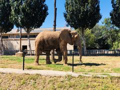 -石家庄市动物园