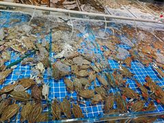 -四海蒸鲜蒸汽海鲜自助(北戴河店)