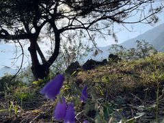 -鹫峰国家森林公园