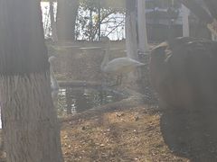 -艾溪湖湿地公园