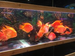 -龟与熊猫宠物公园(南坪店)