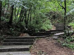 -洛阳白云山景区