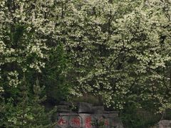 -泰和山景区