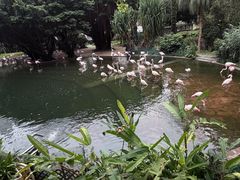 -九龙公园