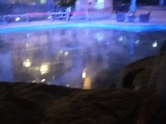 -仁爱团泊湖温泉中心