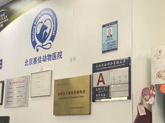 -北京赛佳动物医院