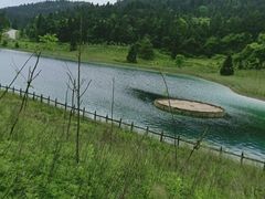 -武陵山森林公园